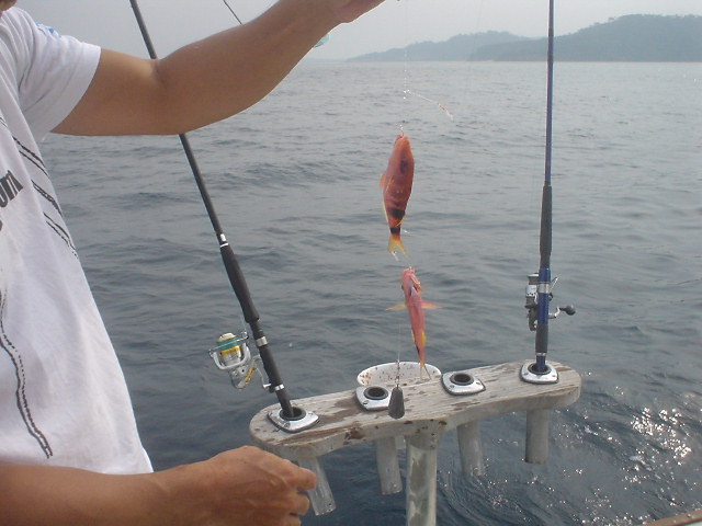 西表島で釣りをするなら…リーフ釣り（リーフフィッシング）